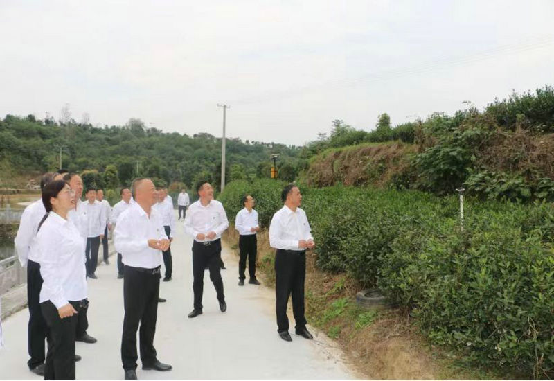 河南内乡县交通运输局开展“重温红色历史 弘扬交通精神”主题教育实践活动 河南内乡县交通运输局开展“重温红色历史 弘扬交通精神”主题教育实践活动