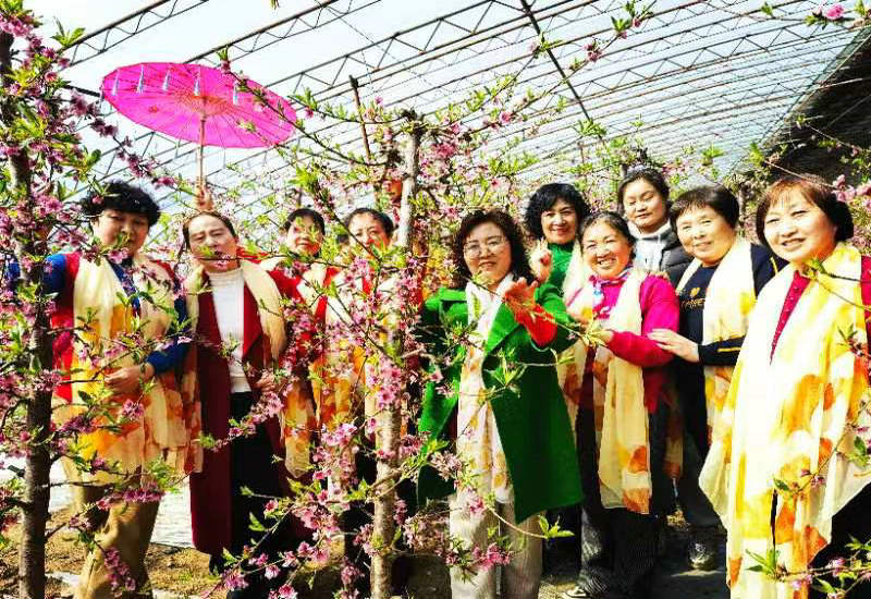 三八妇女节的祝福 三八妇女节的祝福