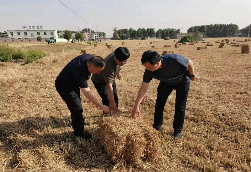 叶县洪庄杨镇:小麦秸秆打捆回收 推动综合利用 叶县洪庄杨镇:小麦秸秆打捆回收 推动综合利用