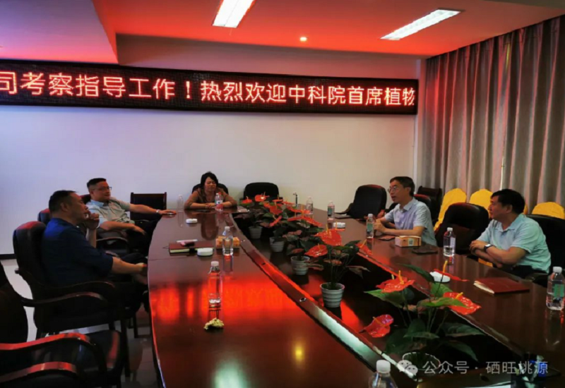 中科院质谱首席科学家杨福全来桃调研富硒紫苏籽油产业 中科院质谱首席科学家杨福全来桃调研富硒紫苏籽油产业
