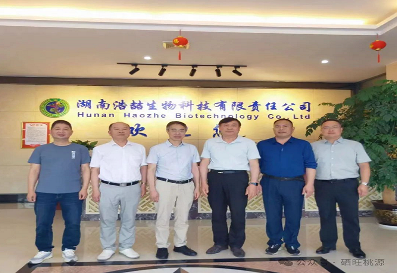 中科院质谱首席科学家杨福全来桃调研富硒紫苏籽油产业 中科院质谱首席科学家杨福全来桃调研富硒紫苏籽油产业