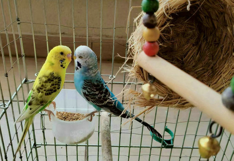 Ȥ