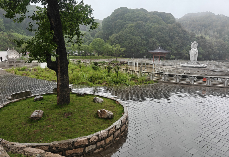 紫竹林观斗悟拳理:五枚师太与蛇鹰双形的诞生