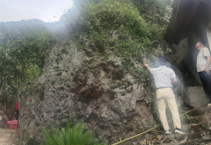 紫竹林观斗悟拳理:五枚师太与蛇鹰双形的诞生 紫竹林观斗悟拳理:五枚师太与蛇鹰双形的诞生