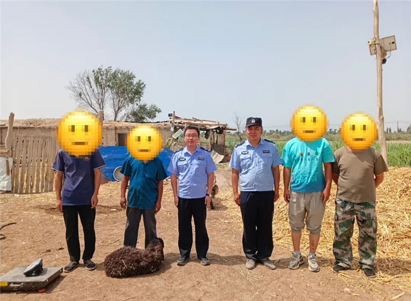 羊群啃食棉花惹纠纷,民警牵头调解促和谐 羊群啃食棉花惹纠纷,民警牵头调解促和谐