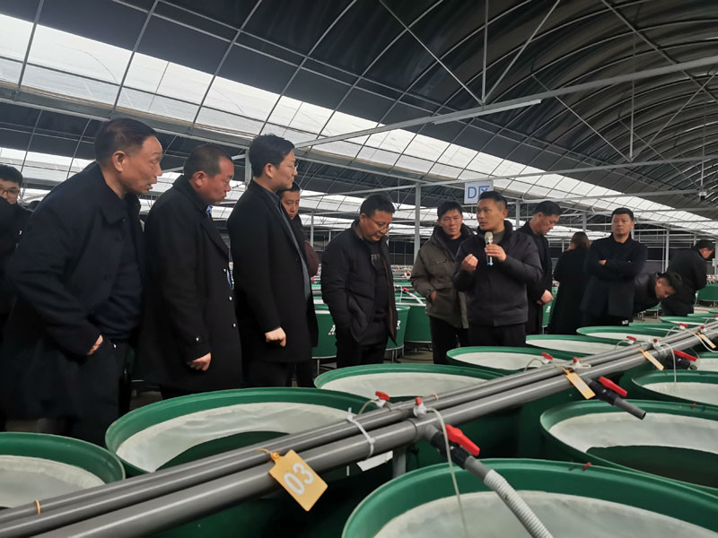 微山县:乡村振兴合伙人制度激活发展新动能 微山县:乡村振兴合伙人制度激活发展新动能