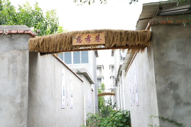 乐土镇传承慈孝文化促进乡风文明