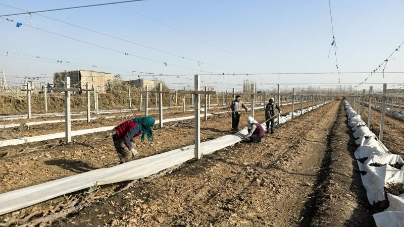 ��ʮ��������԰����æ ��ѧ�ܻ���Խ��