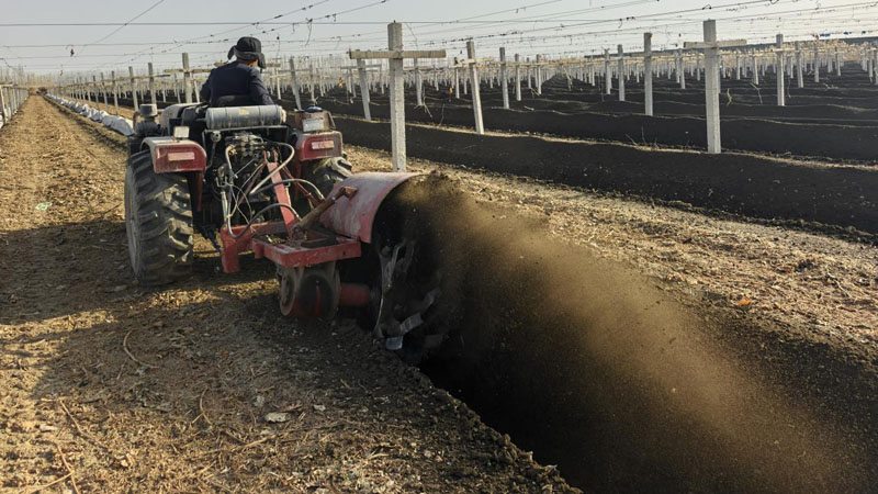 ��ʮ��������԰����æ ��ѧ�ܻ���Խ��