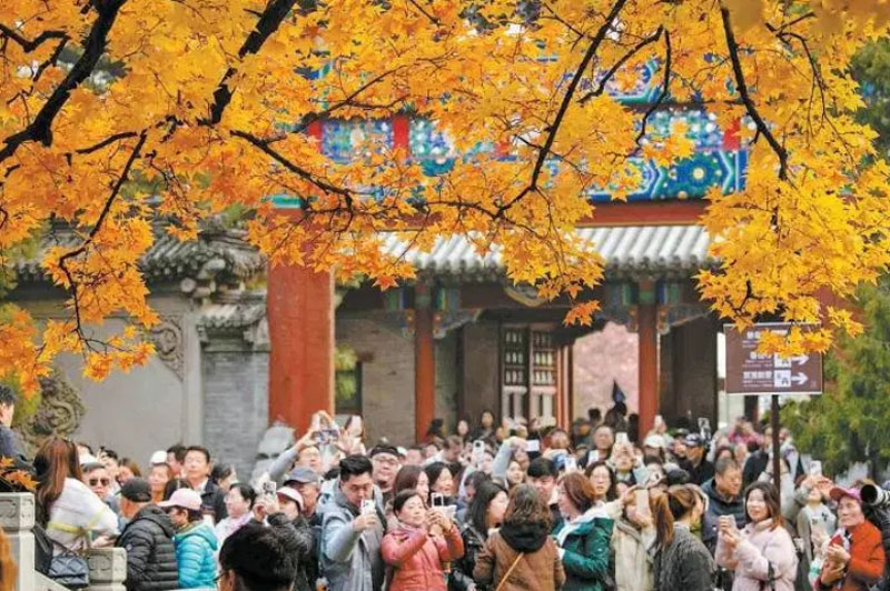 累计超85万人次游客香山赏红叶