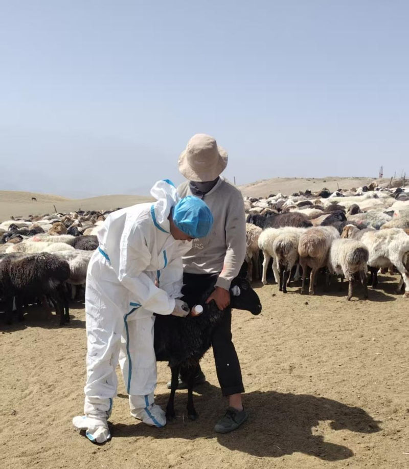 Ҷ�Ƕ����������������󶬼���ȫԽ������