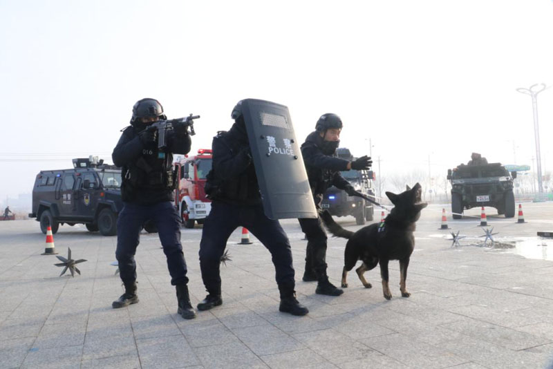 ������й����֣������½����ҳ� ʵս����������