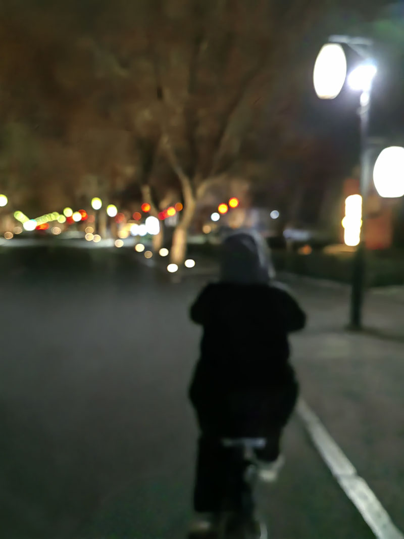 寒风中的温暖,寒冬下的爱——正定救助站之巡查日常