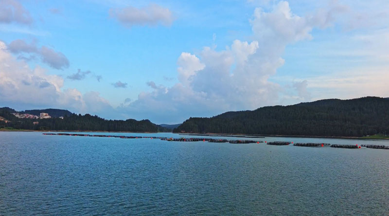 ê����ˮ��ҵ�ߵأ����ͺ�����̬���