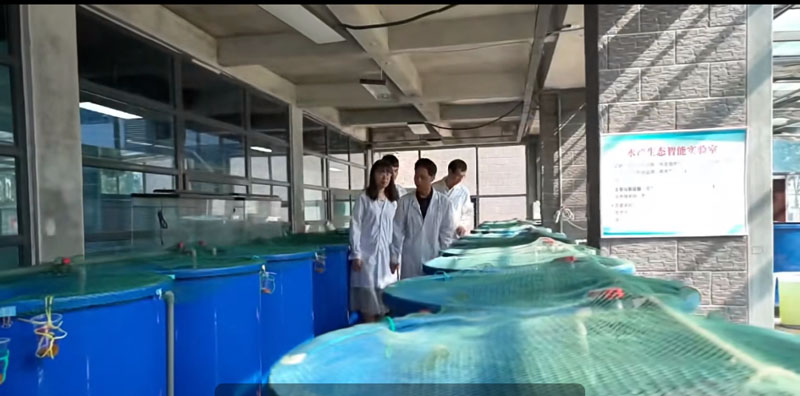 ê����ˮ��ҵ�ߵأ����ͺ�����̬���