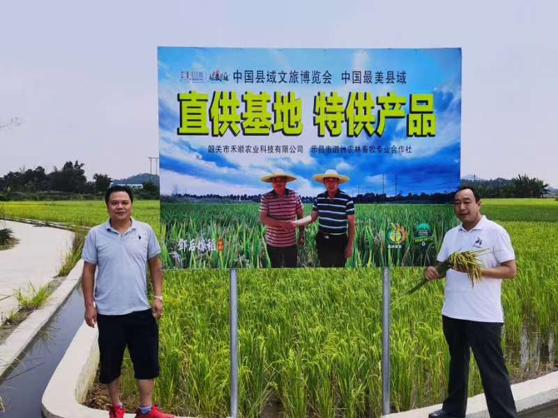 乐昌返乡青年张立新:深耕功能农业 为粤北粮仓注入科技动能