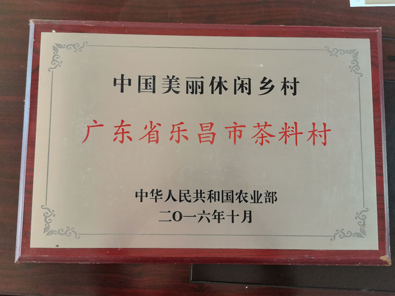 ʮ��������������ĸ�����ר�ҡ��������޸����عط�չ��ʵ