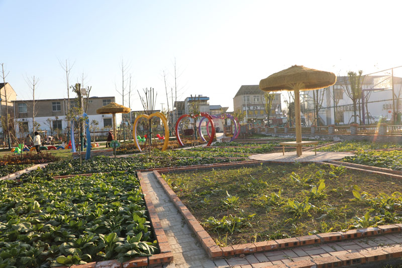 ���������۴��´壺���鹲�����¾���������������