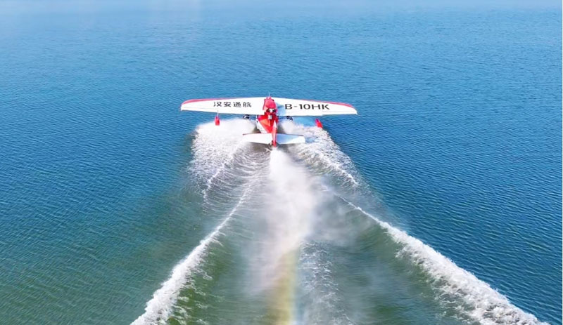 �Ƽ�������̬ �����������