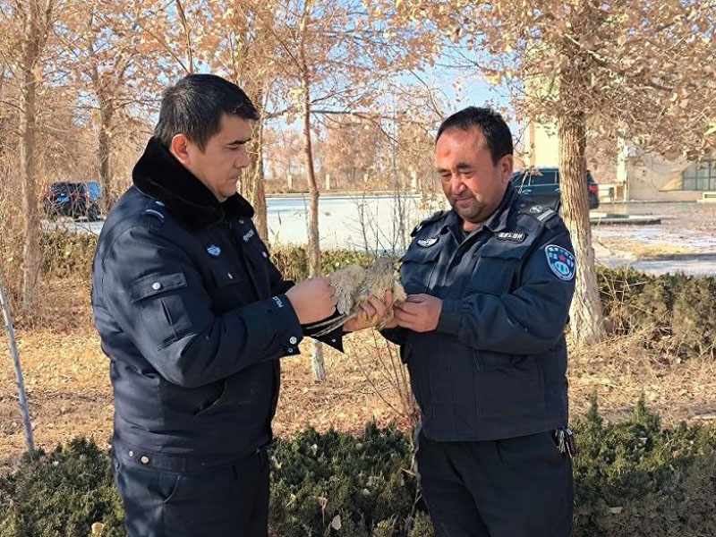 �������µ��ػ����½��ͳ������������Ҷ��������������