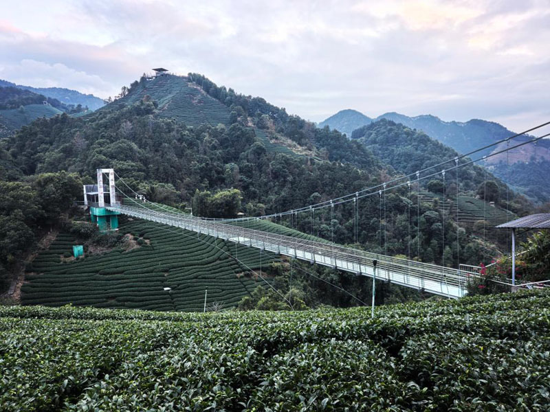 һƬҶ���㡱��ũ�����ں��»���