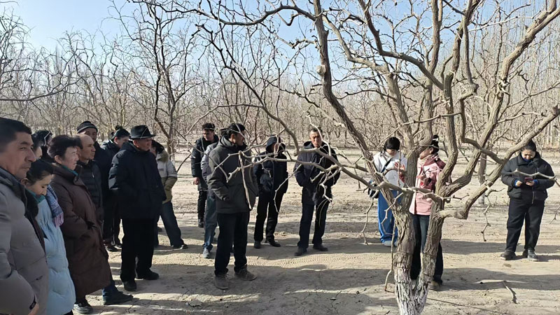 �������������ѵ ���ܲ�ҵ������Ч