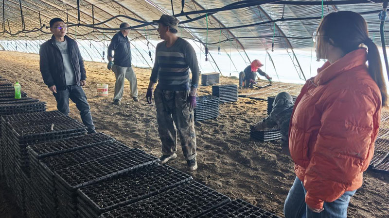 二十四团二连党支部开展节前安全大检查 筑牢平安过年防线