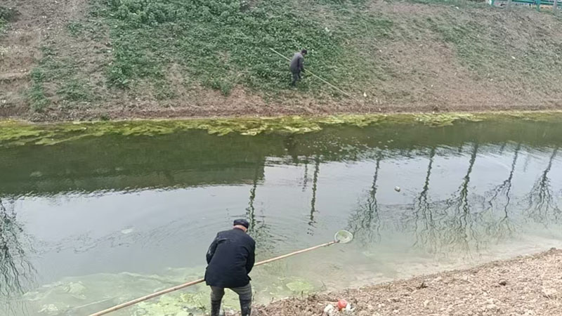 �ɳ��������򣺴��ڹ��������� ����ˮ�������˾ӻ���