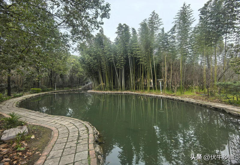 ��������̽��· ������δ������˶��