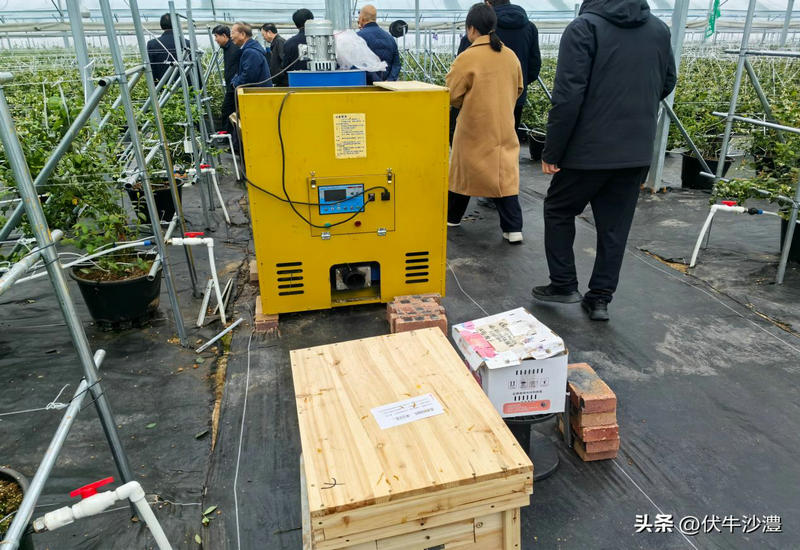 ��������̽��· ������δ������˶��