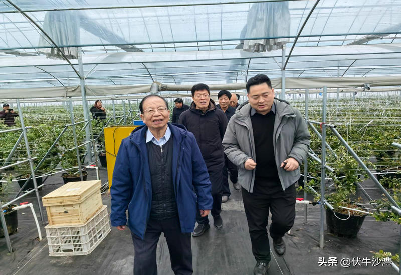 ��������̽��· ������δ������˶��