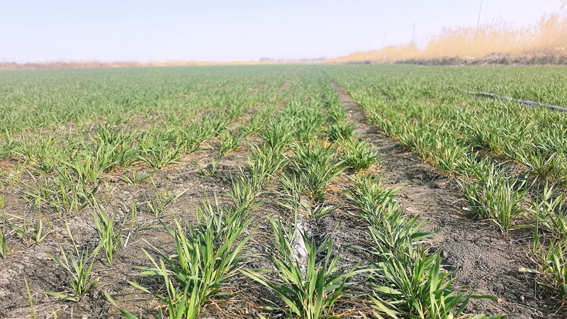 ��ʮ���Ŷ�������غȱ�������ˮ�� ������������