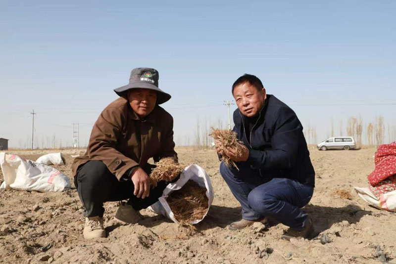 ���ϲ���� ��������ͷ