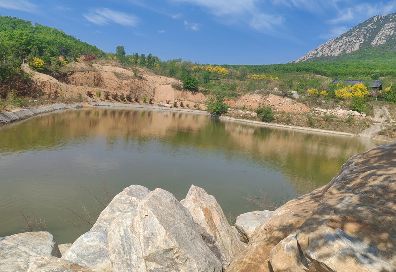 ��ī������ ����������