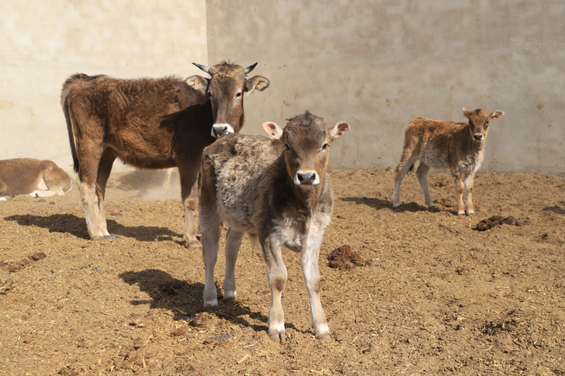 ��˶���������磺�˹��ھ� ��������ҵ������Ч