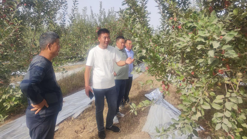 ת˼·����������԰������������������