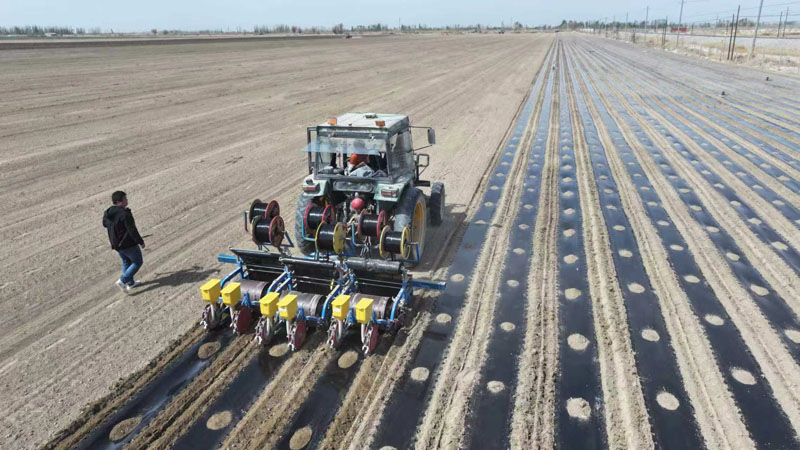 ��˲���æ �������������б���