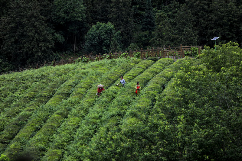 ��ƽ�أ��Բ��������� �Բ�ҵ������